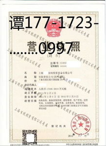 转让投资咨询公司多少钱？深度解析转让与咨询服务的关键因素